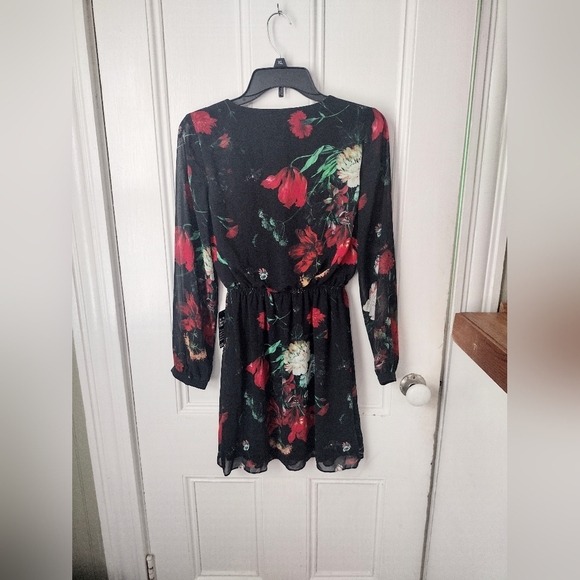 Express Black and Red Sheer Floral Dress - Picture 4 of 5